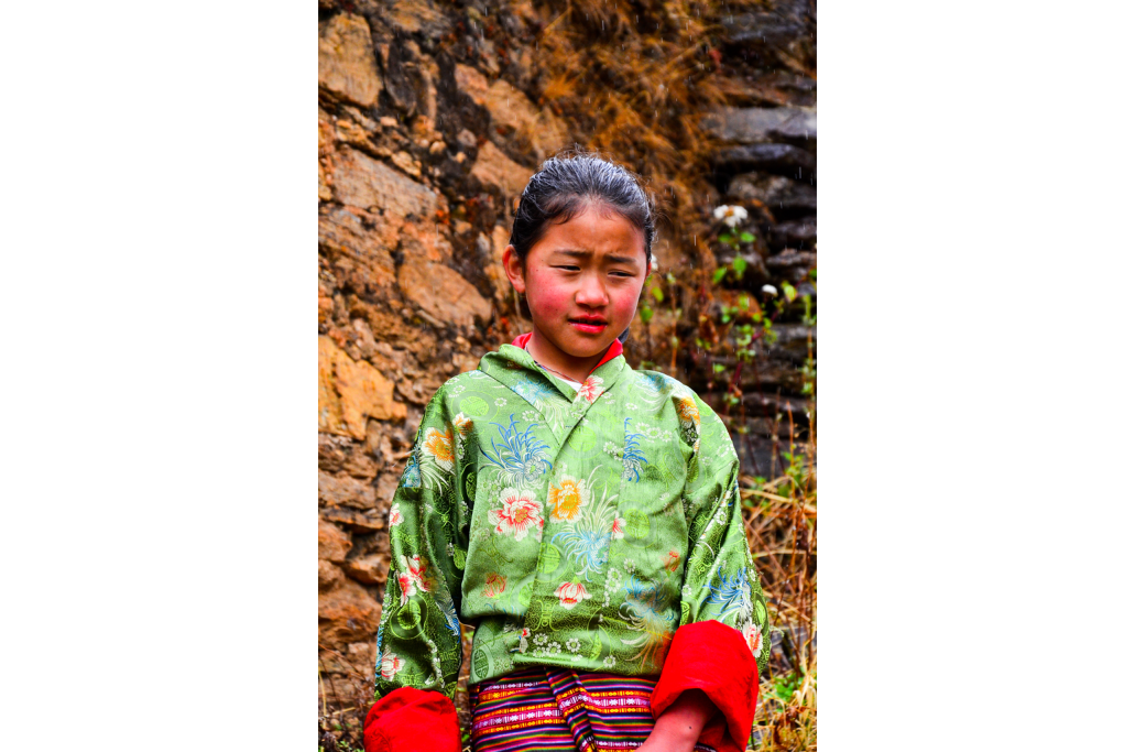 Portfolio Image