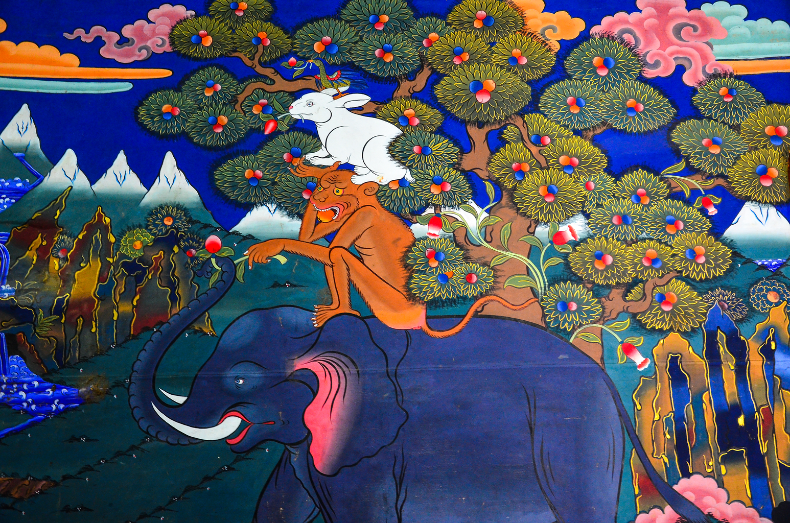 Portfolio Image