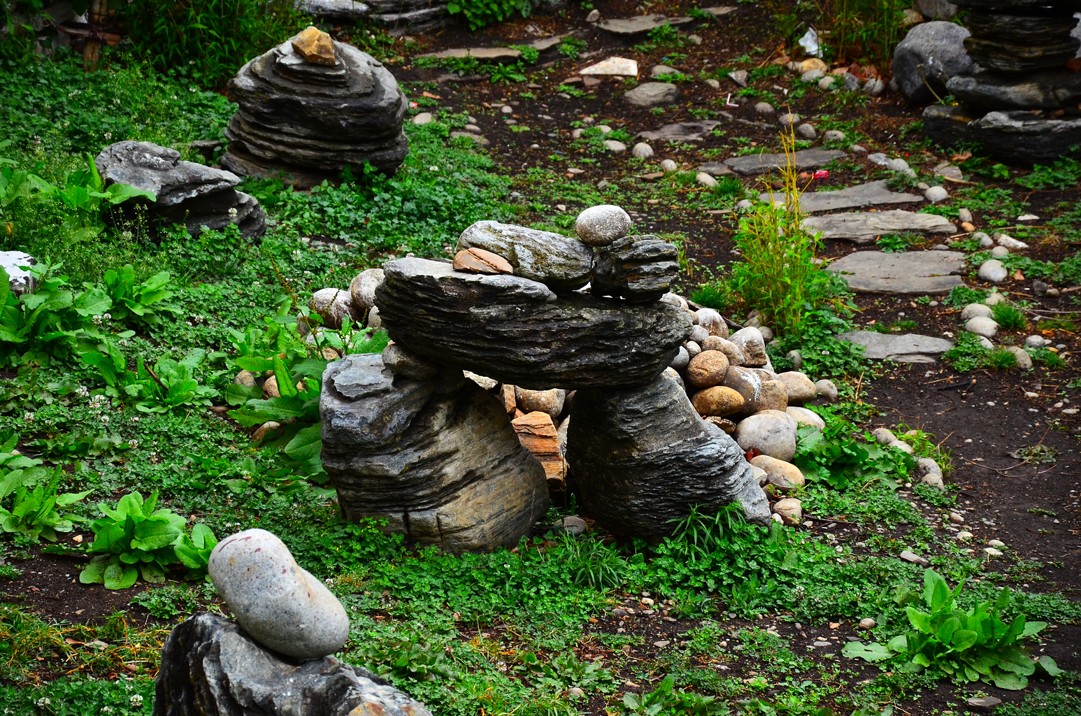 Portfolio Image