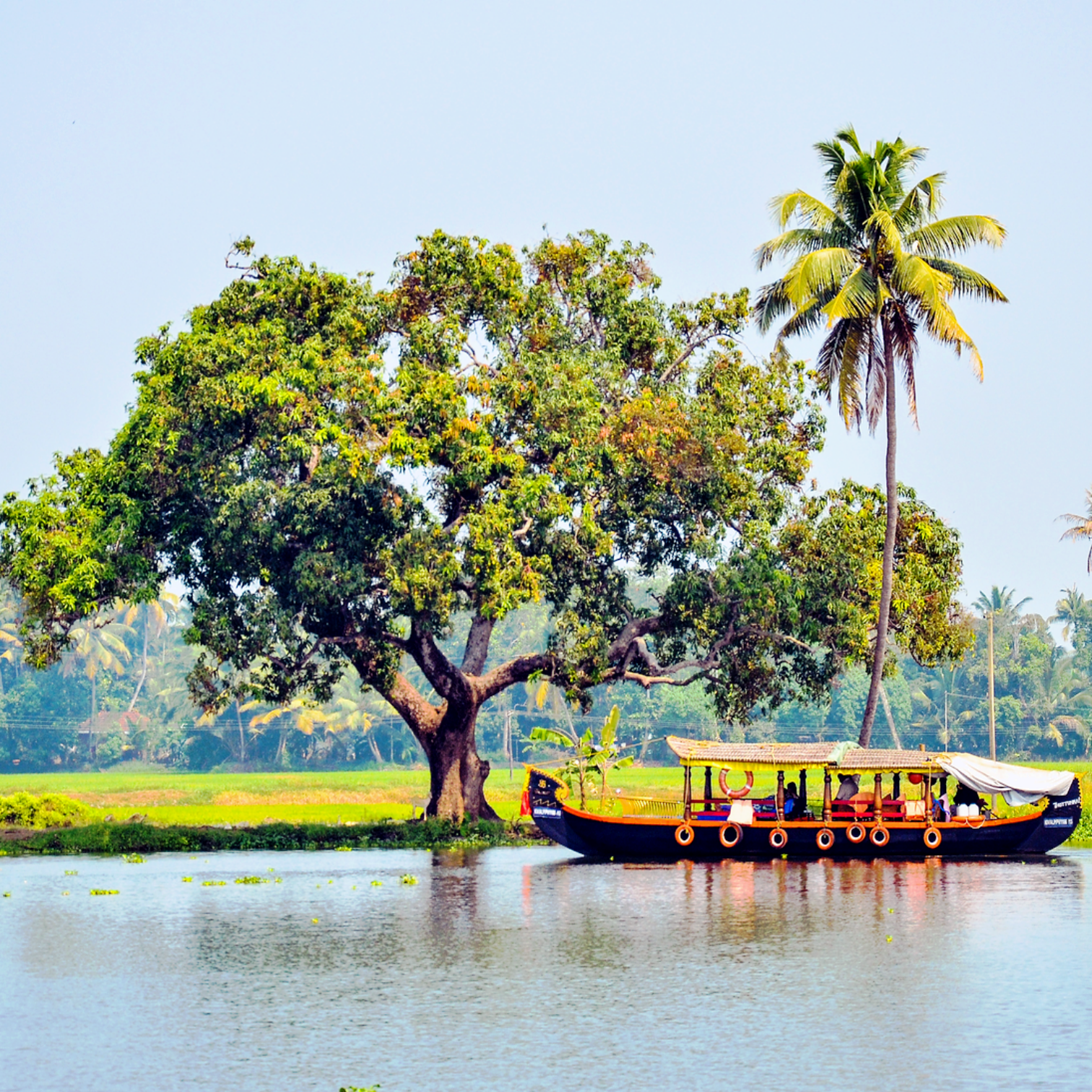 Nakul Bende Portfolio Image