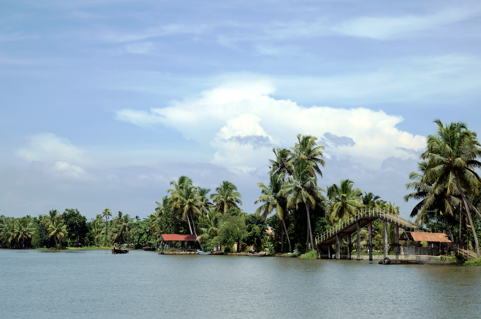 Portfolio Image