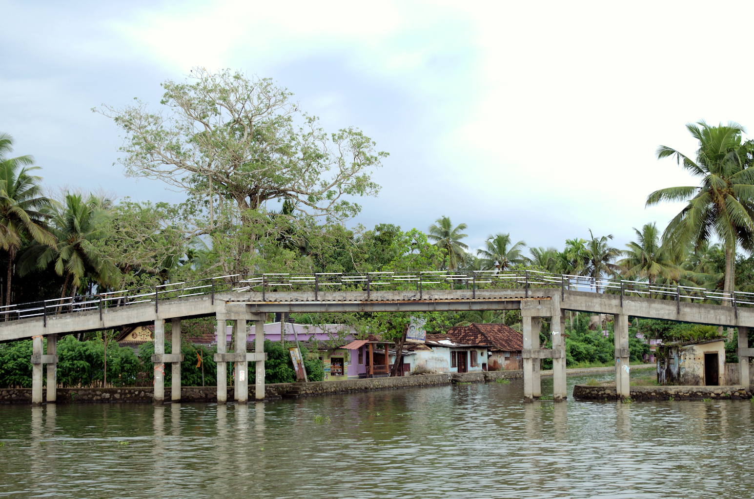Portfolio Image