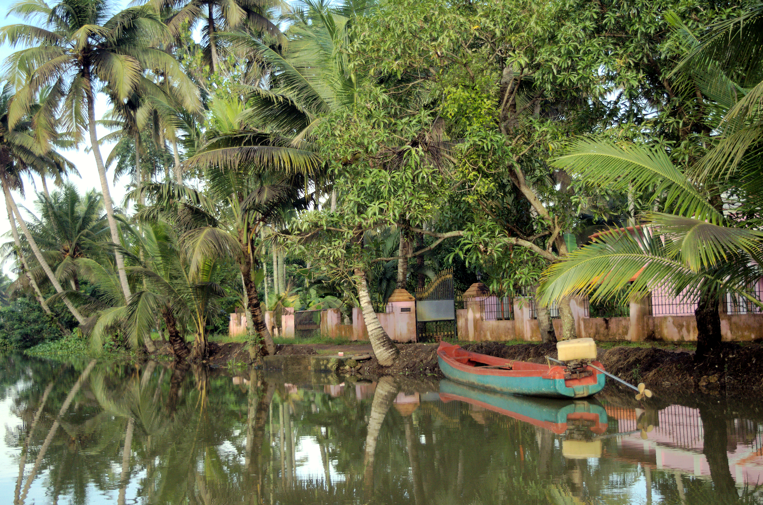 Portfolio Image