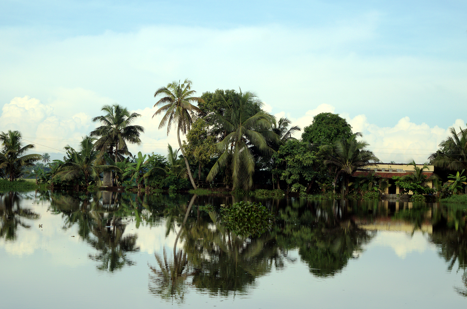Portfolio Image