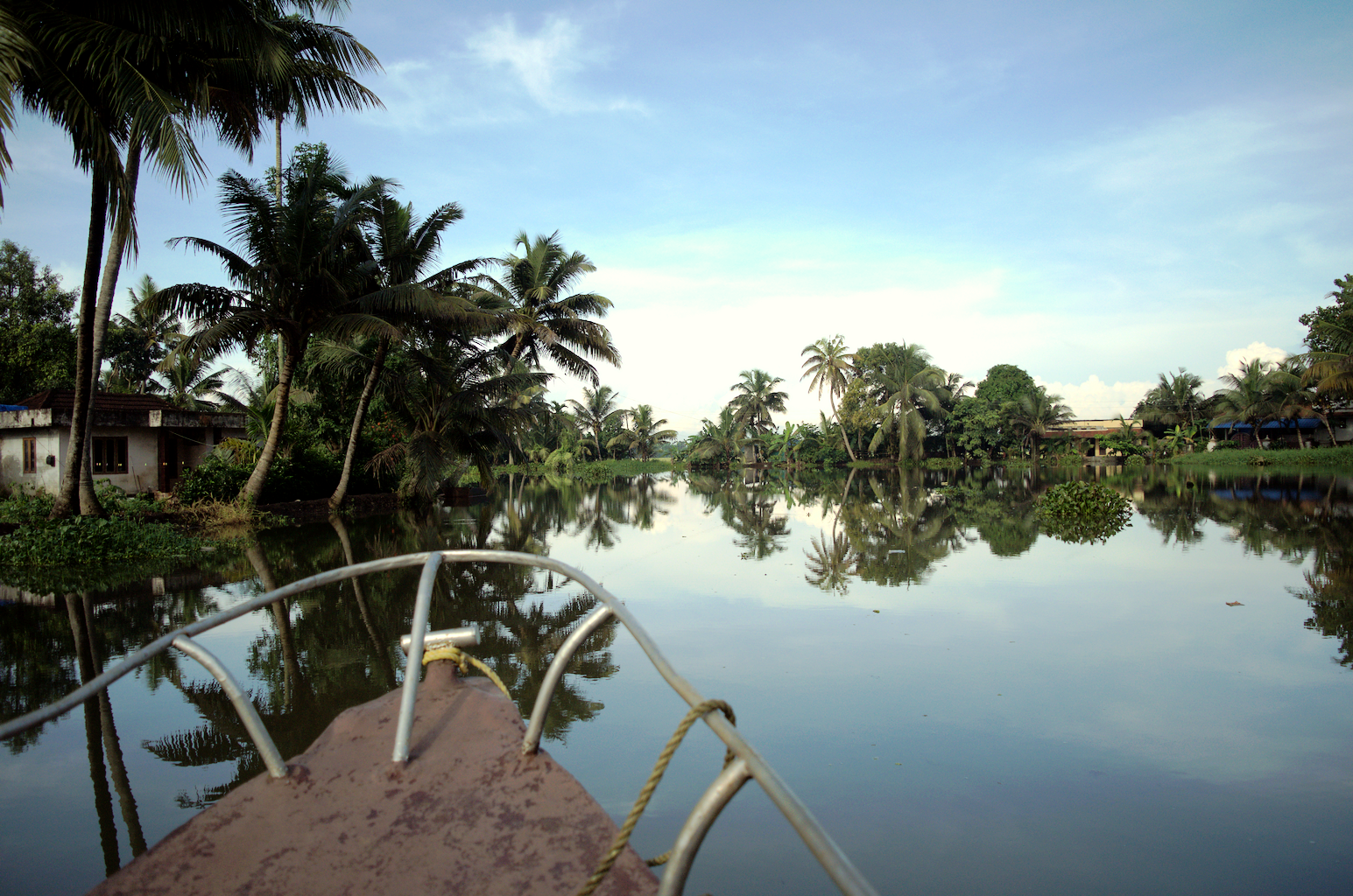 Portfolio Image