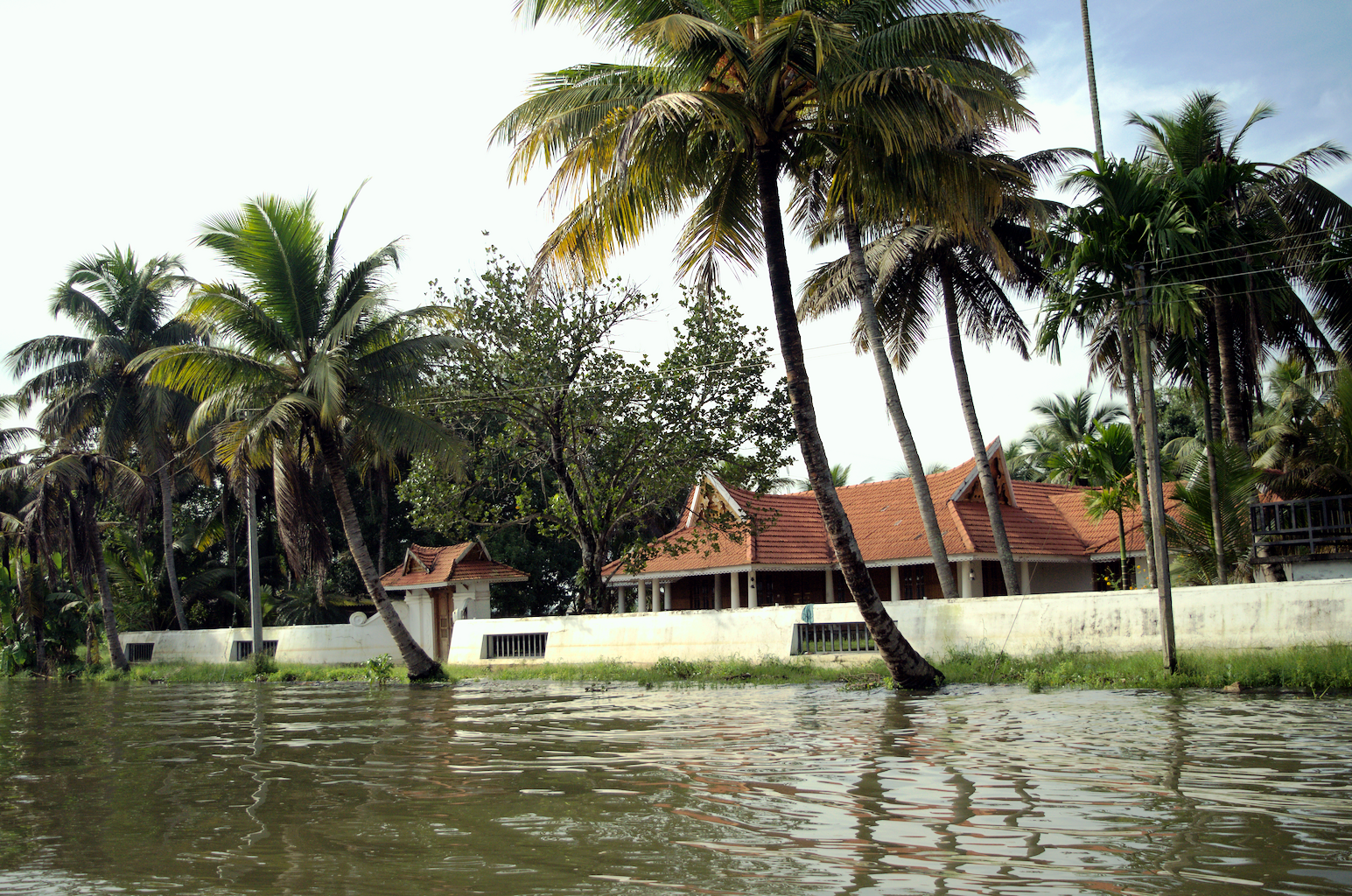Portfolio Image