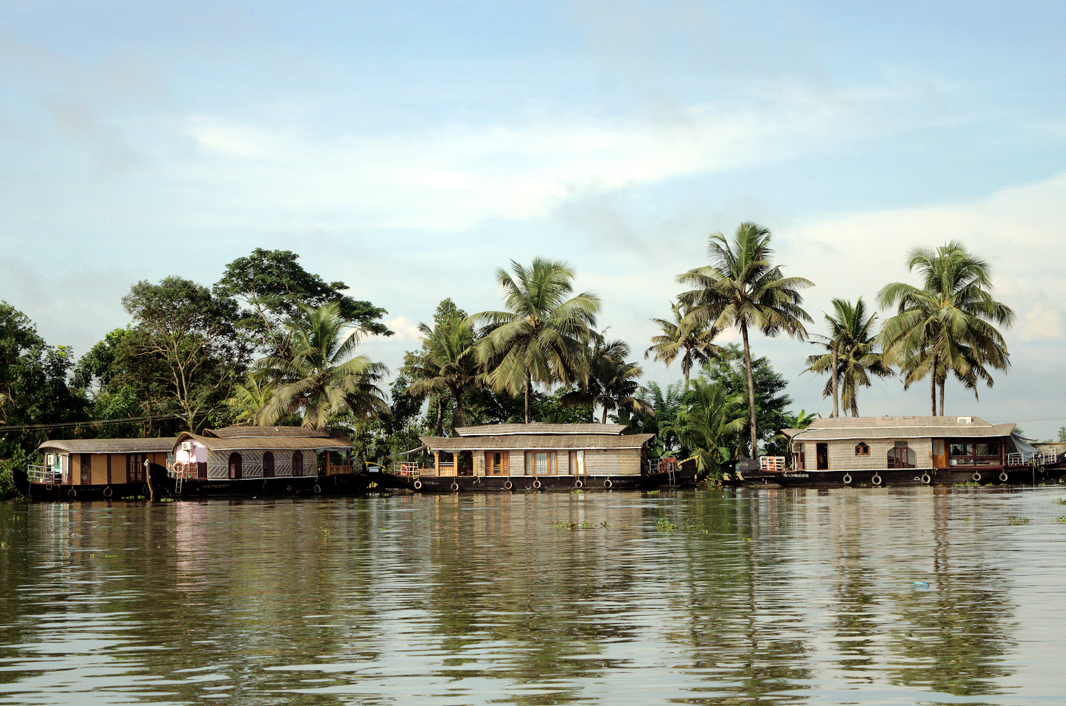 Portfolio Image