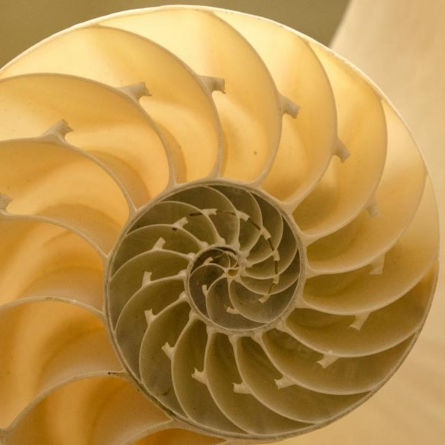 Nakul Bende Portfolio Image