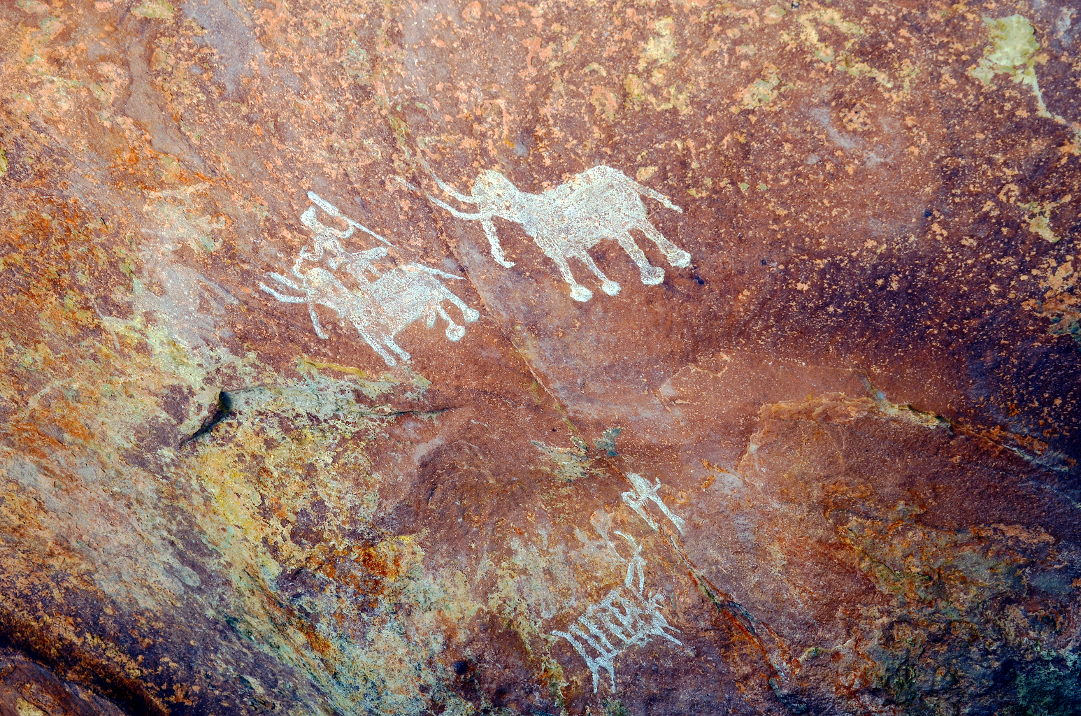 Portfolio Image