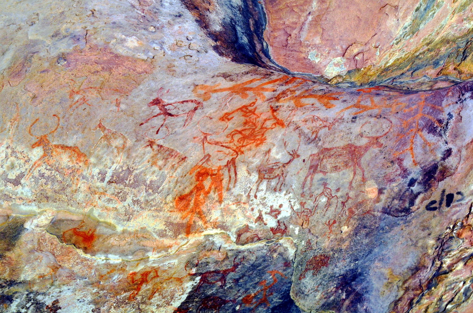 Portfolio Image