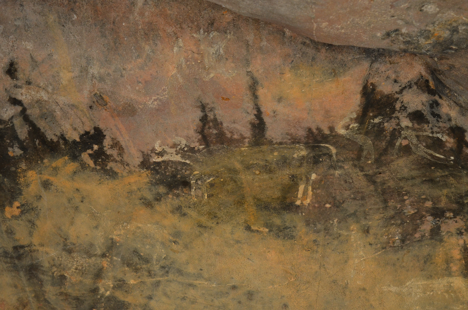 Portfolio Image