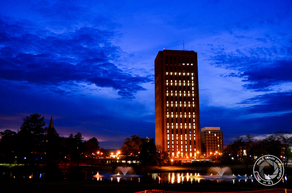Portfolio Image