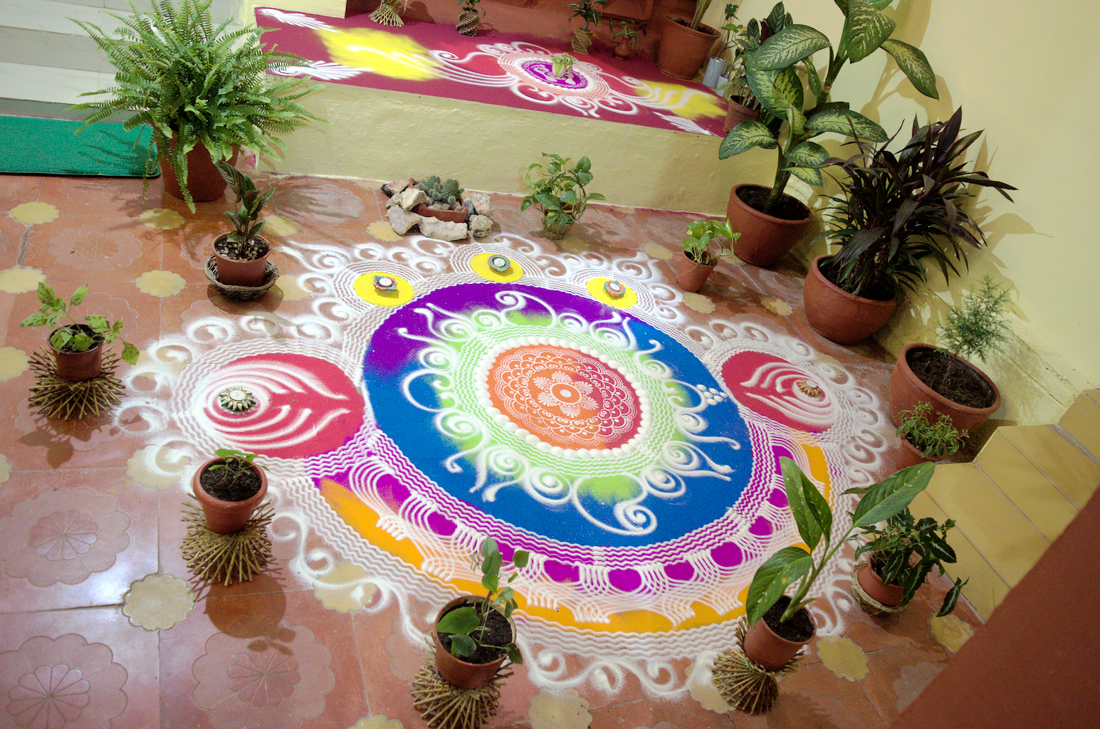 Portfolio Image