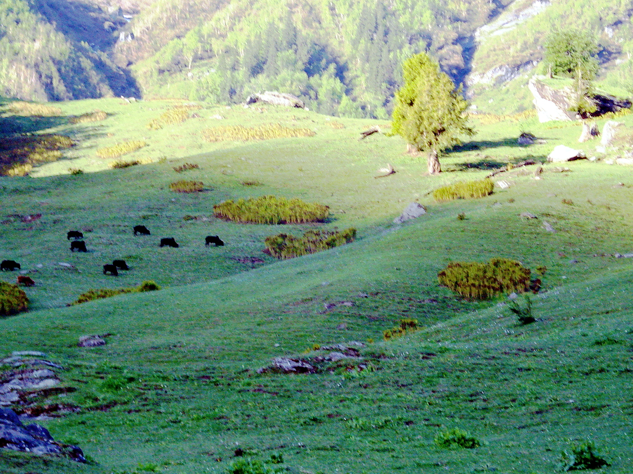Portfolio Image