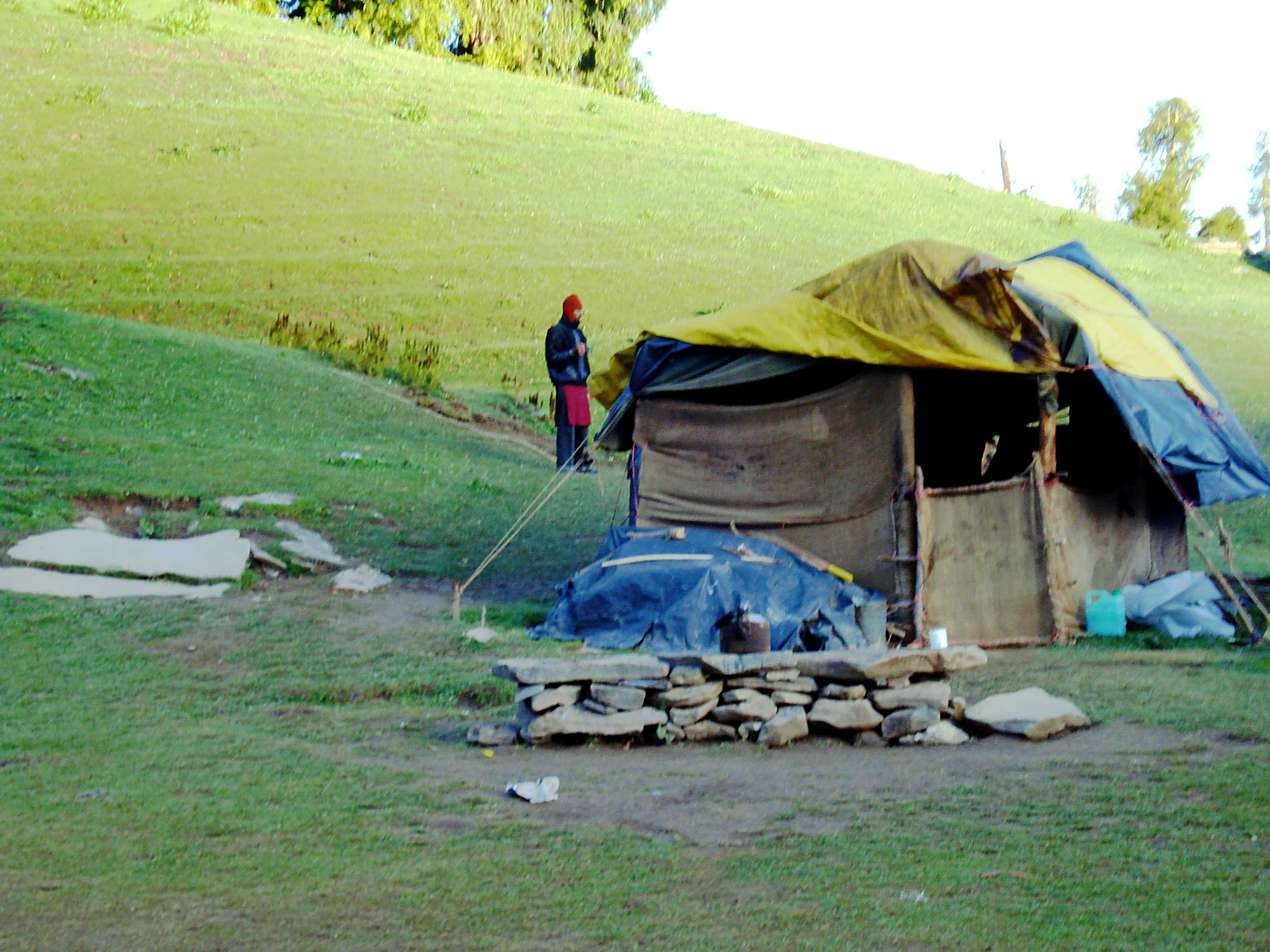 Portfolio Image