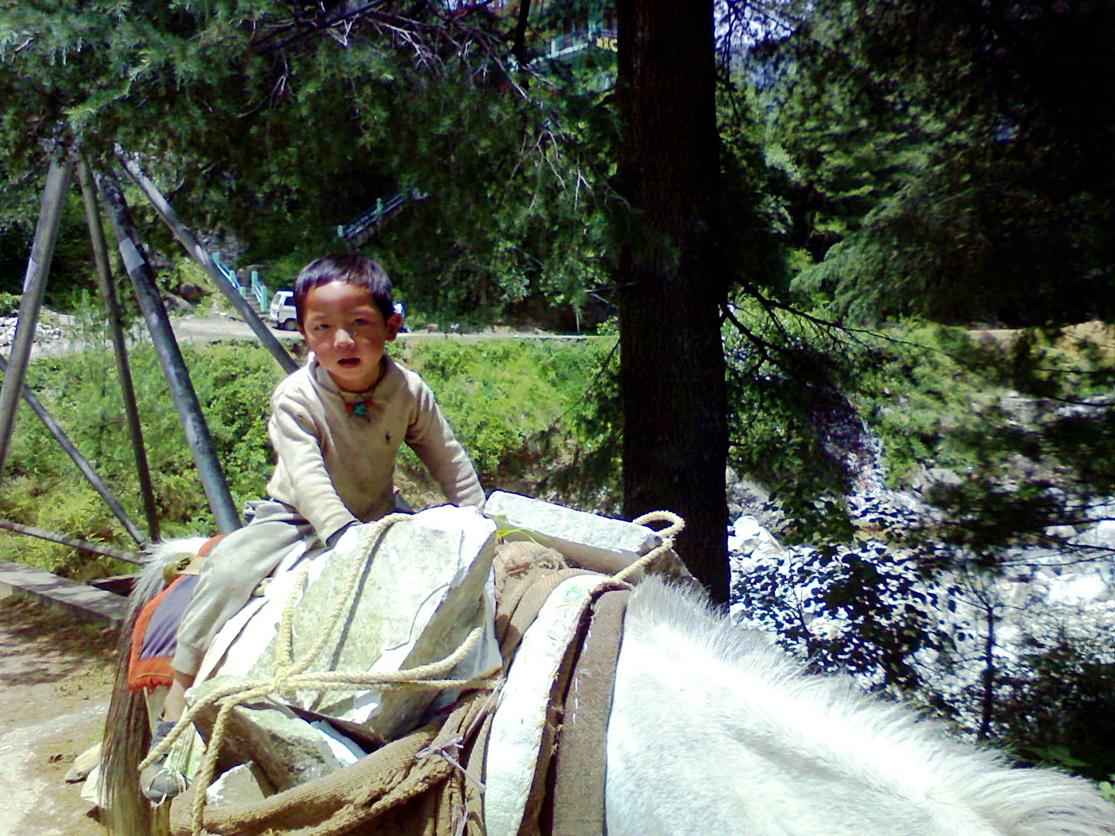 Portfolio Image