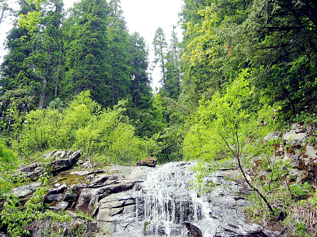 Portfolio Image