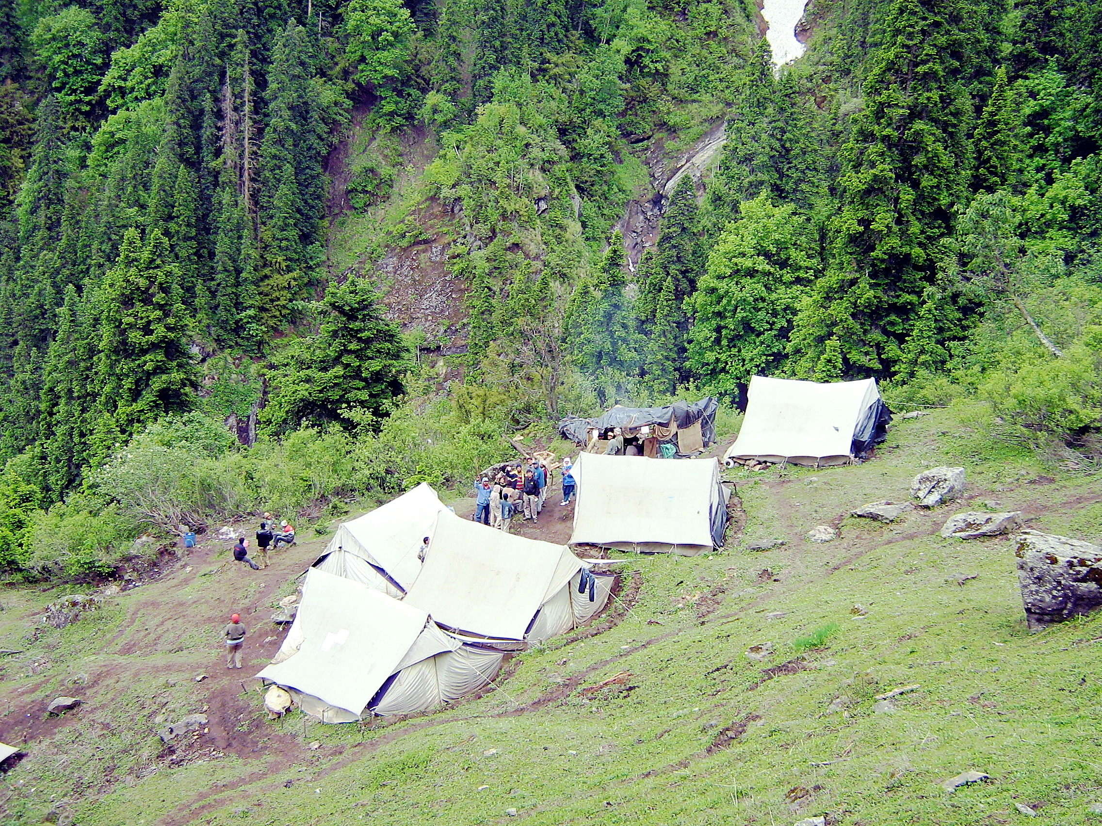 Portfolio Image