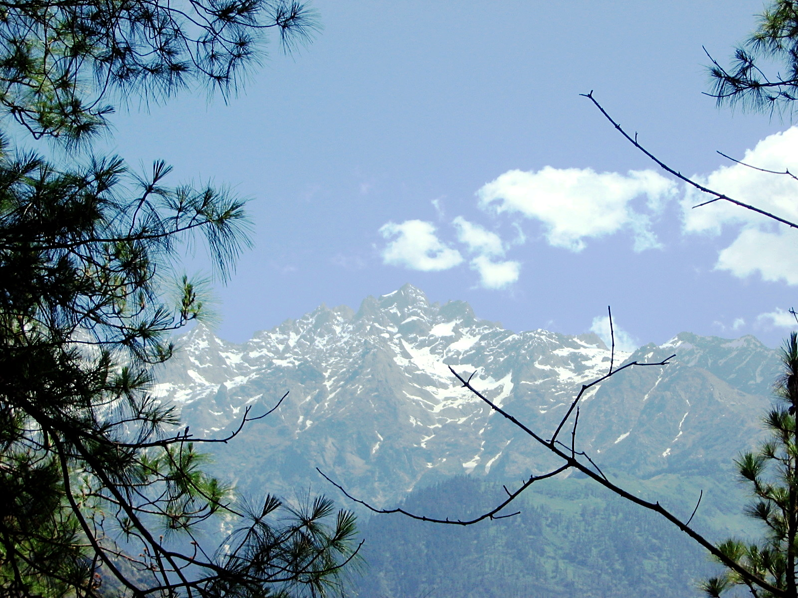 Portfolio Image
