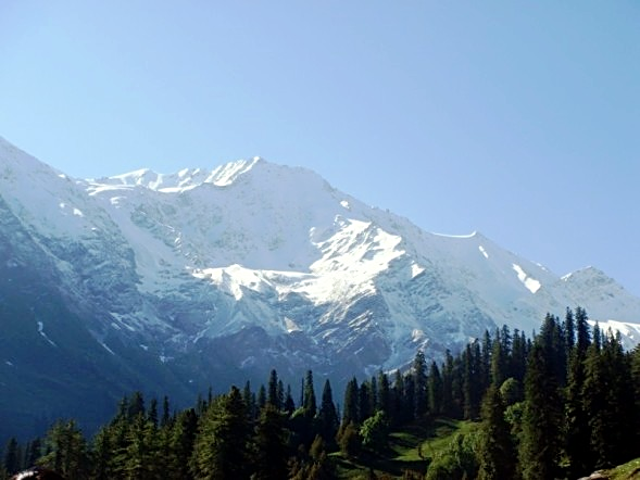 Portfolio Image