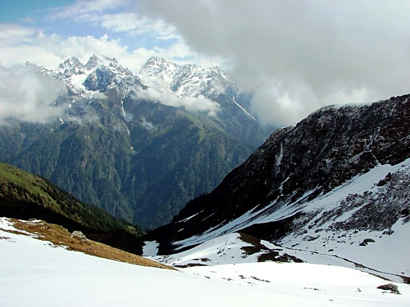 Portfolio Image