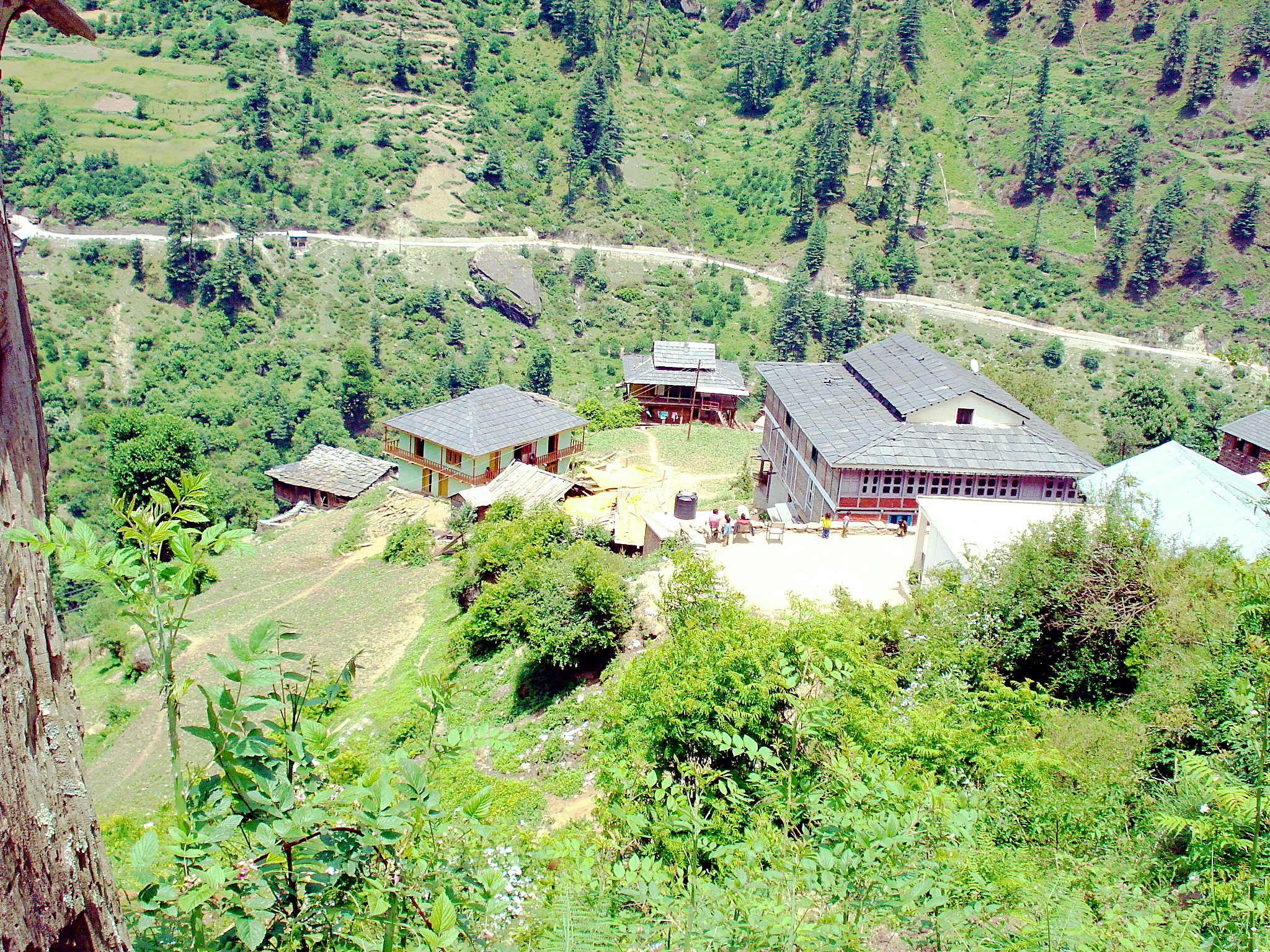 Portfolio Image