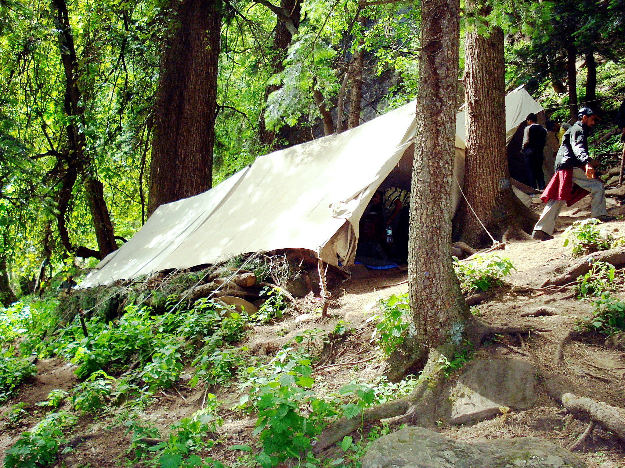 Portfolio Image