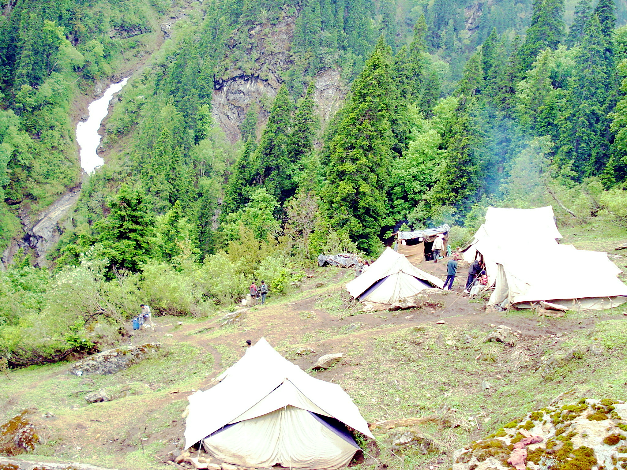 Portfolio Image