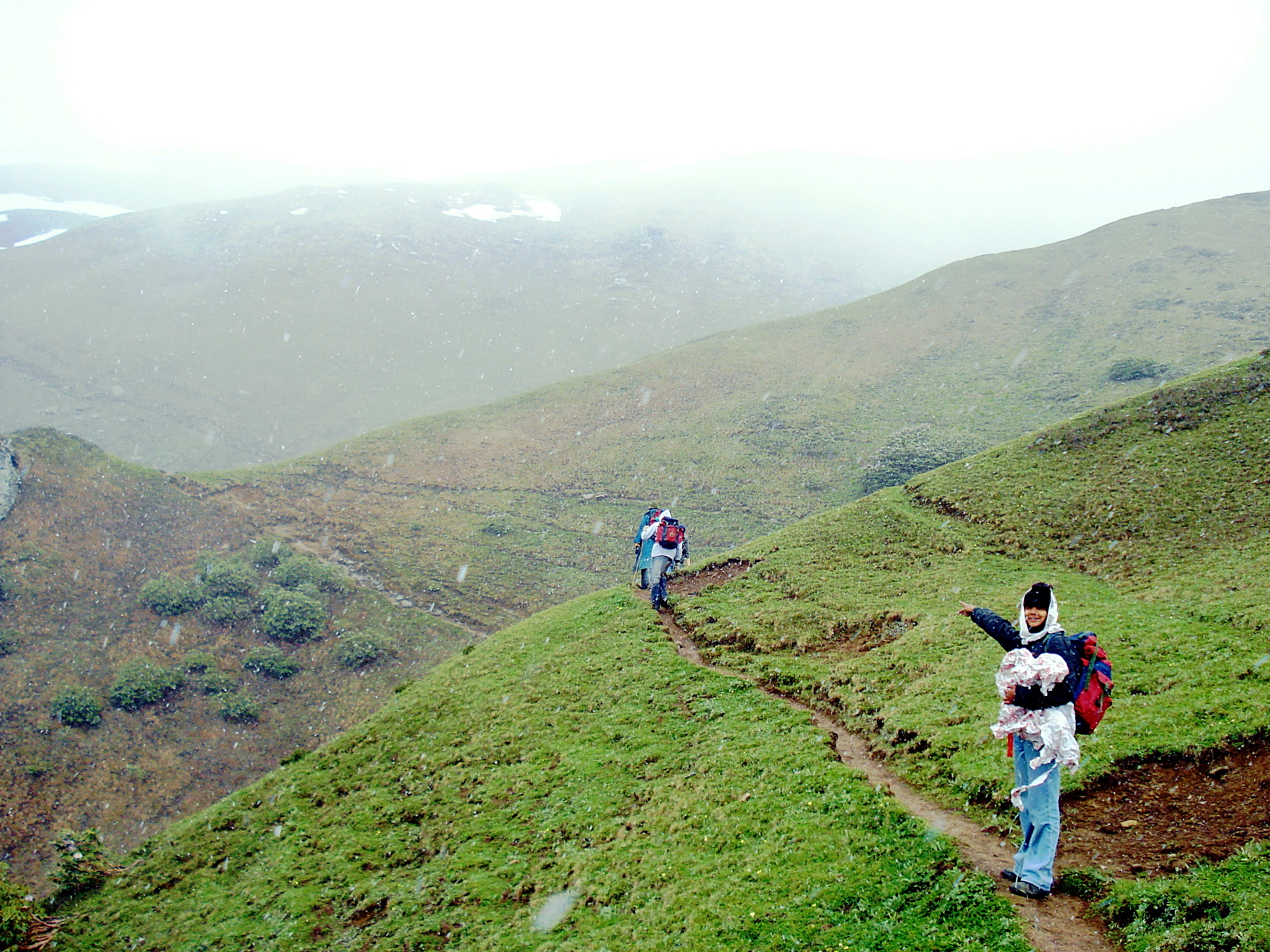 Portfolio Image